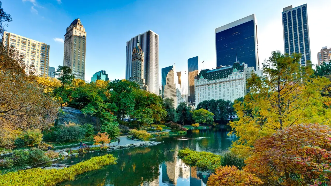 Central Park: An Urban Oasis