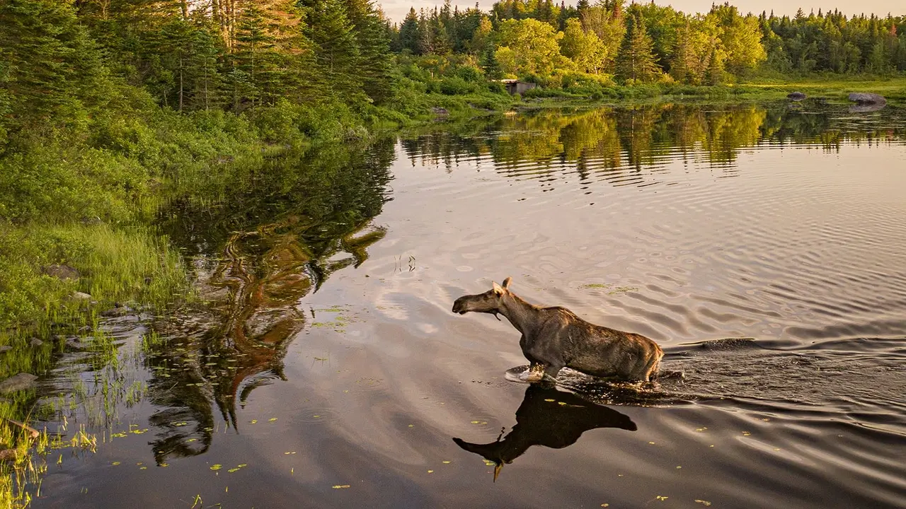 Moosehead Lake: Serenity on Water