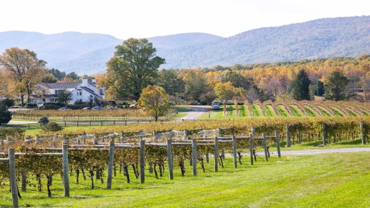 Virginia Wine Country: A Toast to Elegance
