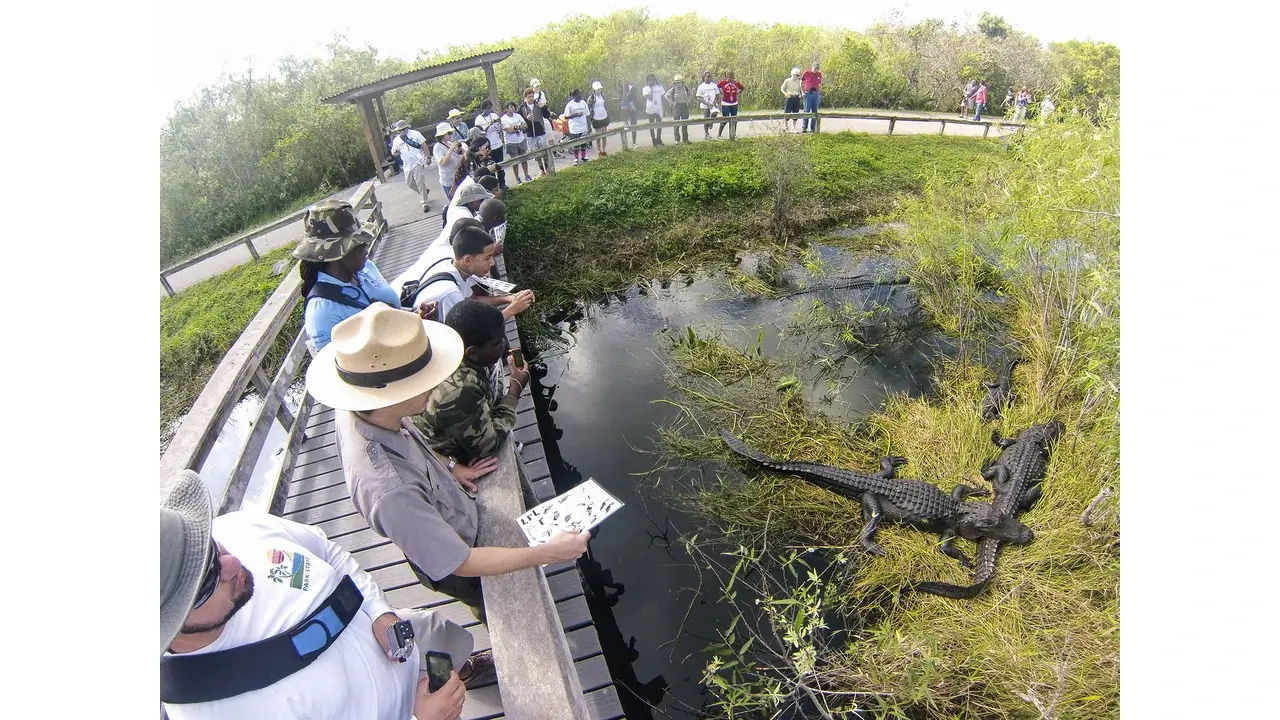 Visit the Everglades National Park in Miami