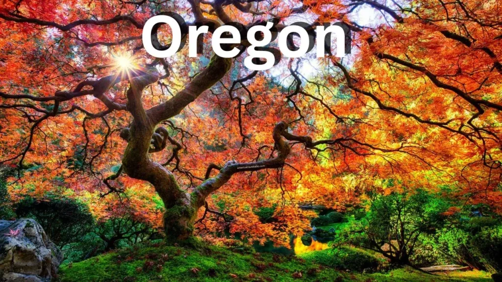 10 Must-Visit Places in Oregon for Your Dream Vacation