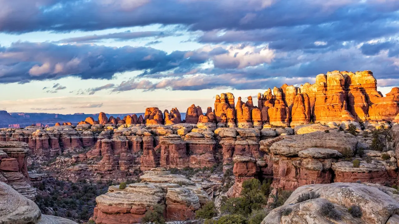 The Needles District of Canyonlands National Park