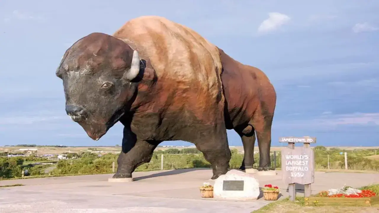 World's Largest Buffalo: A Symbol of Heritage