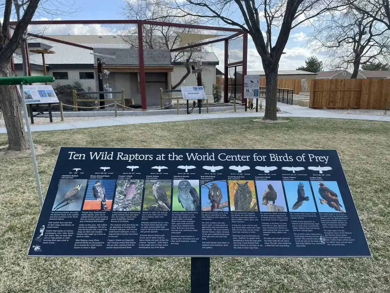 Birds of Prey at the World Center for Birds of Prey