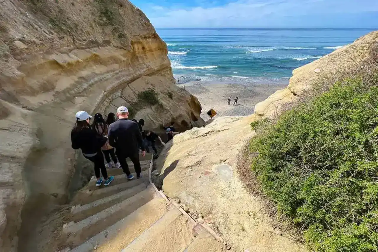 Hikers enjoying scenic trails in Torrey Pines State Natural Reserve.