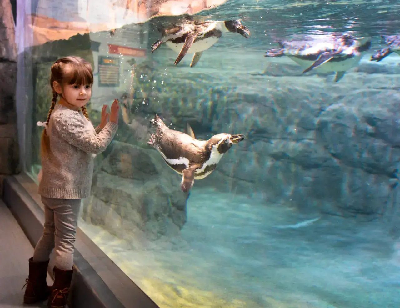 Image of Aquarium of Niagara