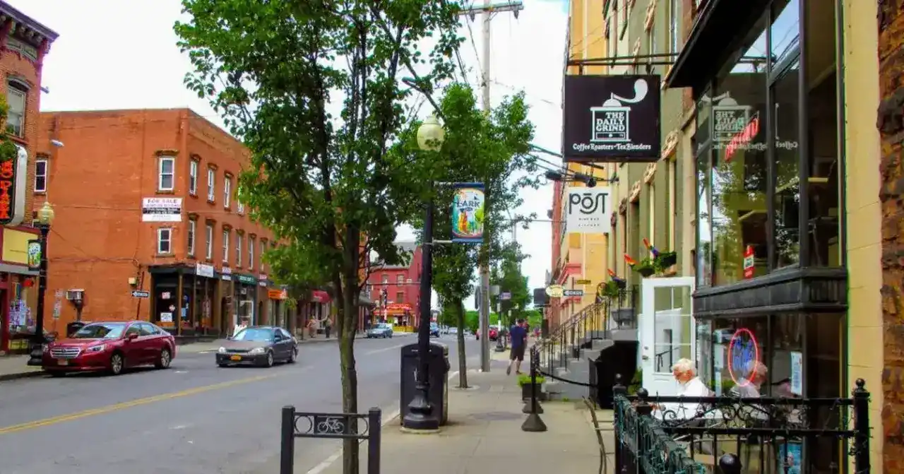 Lark Street District: Culinary and Cultural Journey